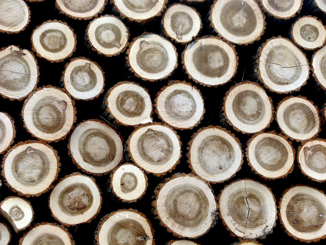 柳木多少钱一方