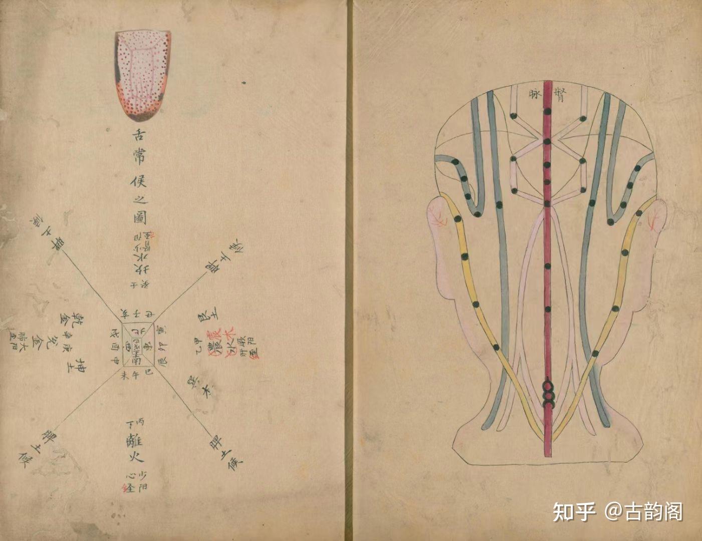 中医古籍《戴曼公唇舌秘方》手抄绘 - 知乎