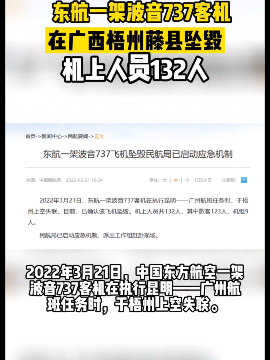 东航波音737乘客名单图片