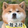 叶既北