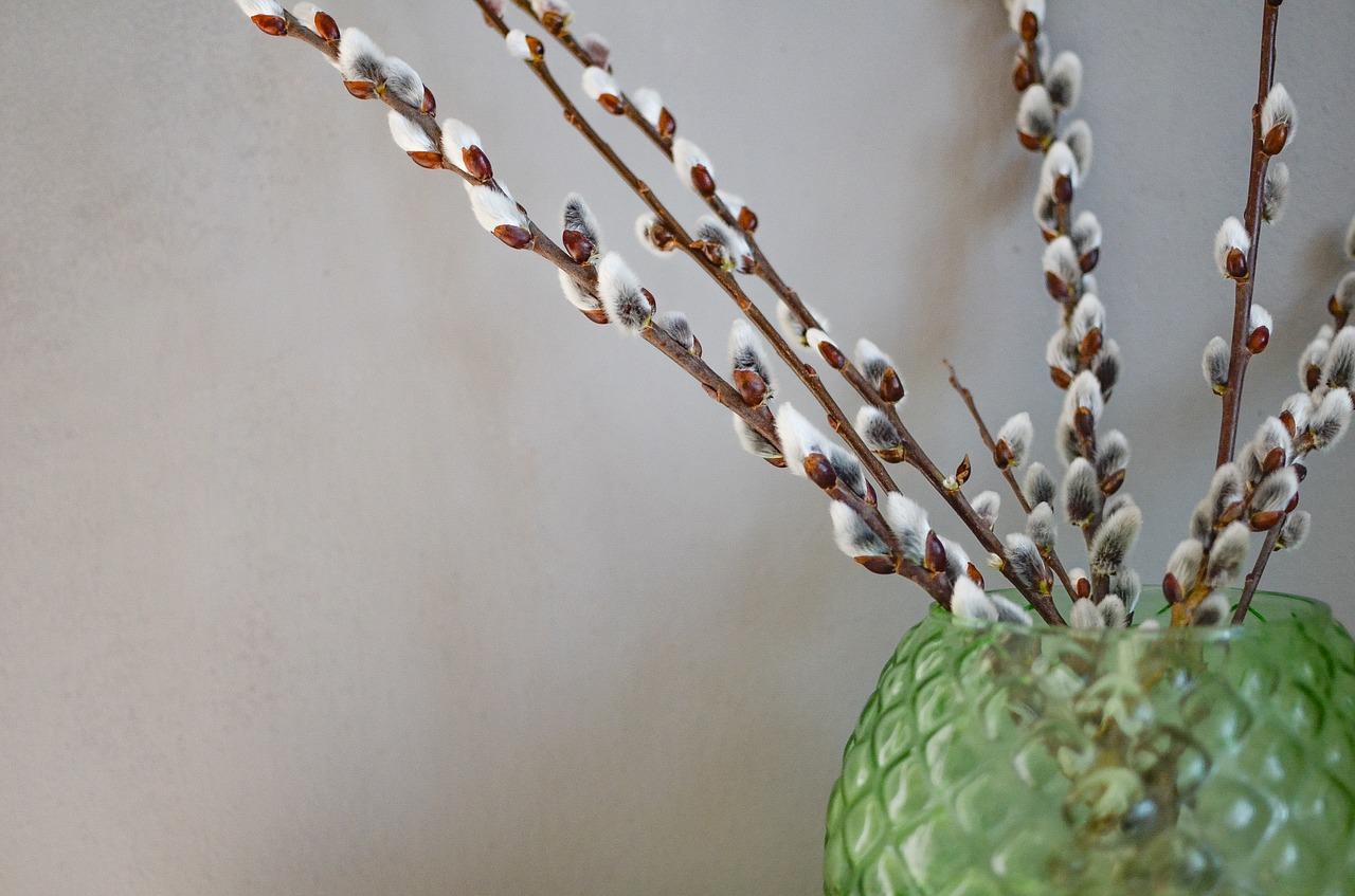 3. 生态花园社区