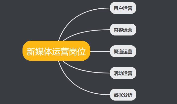 新媒体运营主要做哪些工作