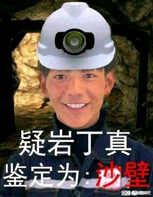 求一眼贴吧丁真表情包