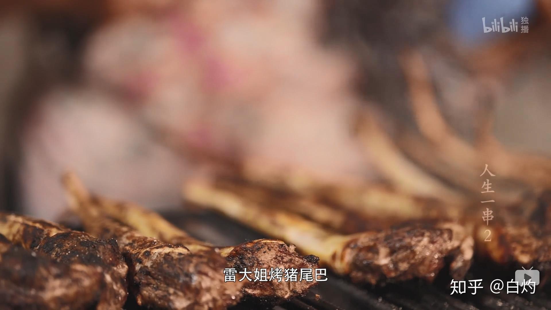 如何评价哔哩哔哩纪录片《人生一串 第二季》?