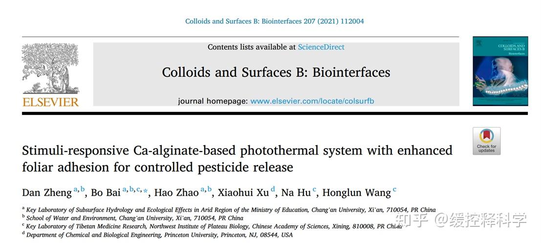 长安大学白波图片