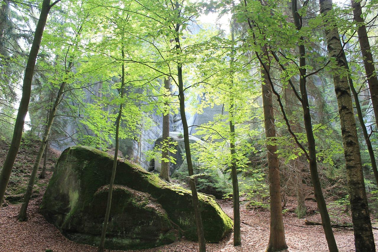 龙岩松柏花园怎么样
