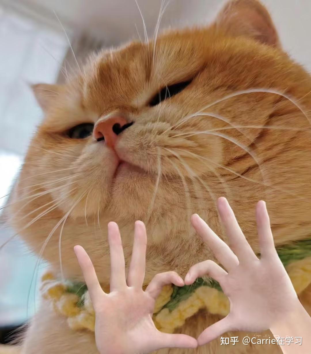 西班牙语学多久能正常交流_西班牙语学校怎么说_学西班牙语