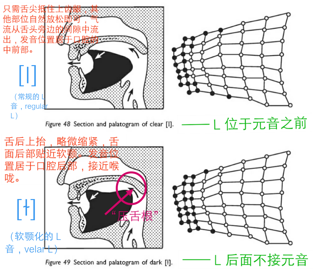 l这个音标在词尾时到底怎么发音为何这么难读