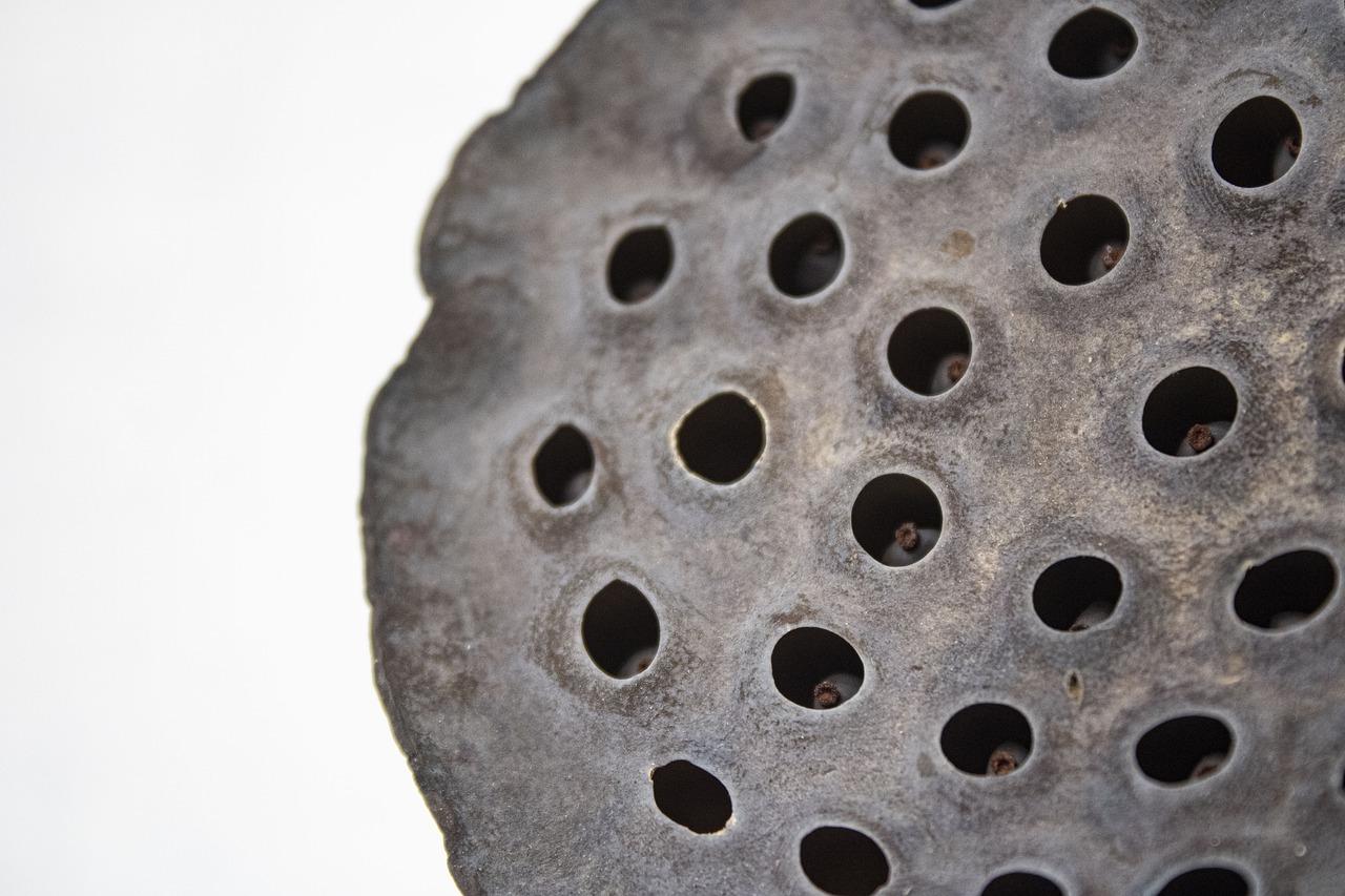 一帆风顺蔫了怎么办