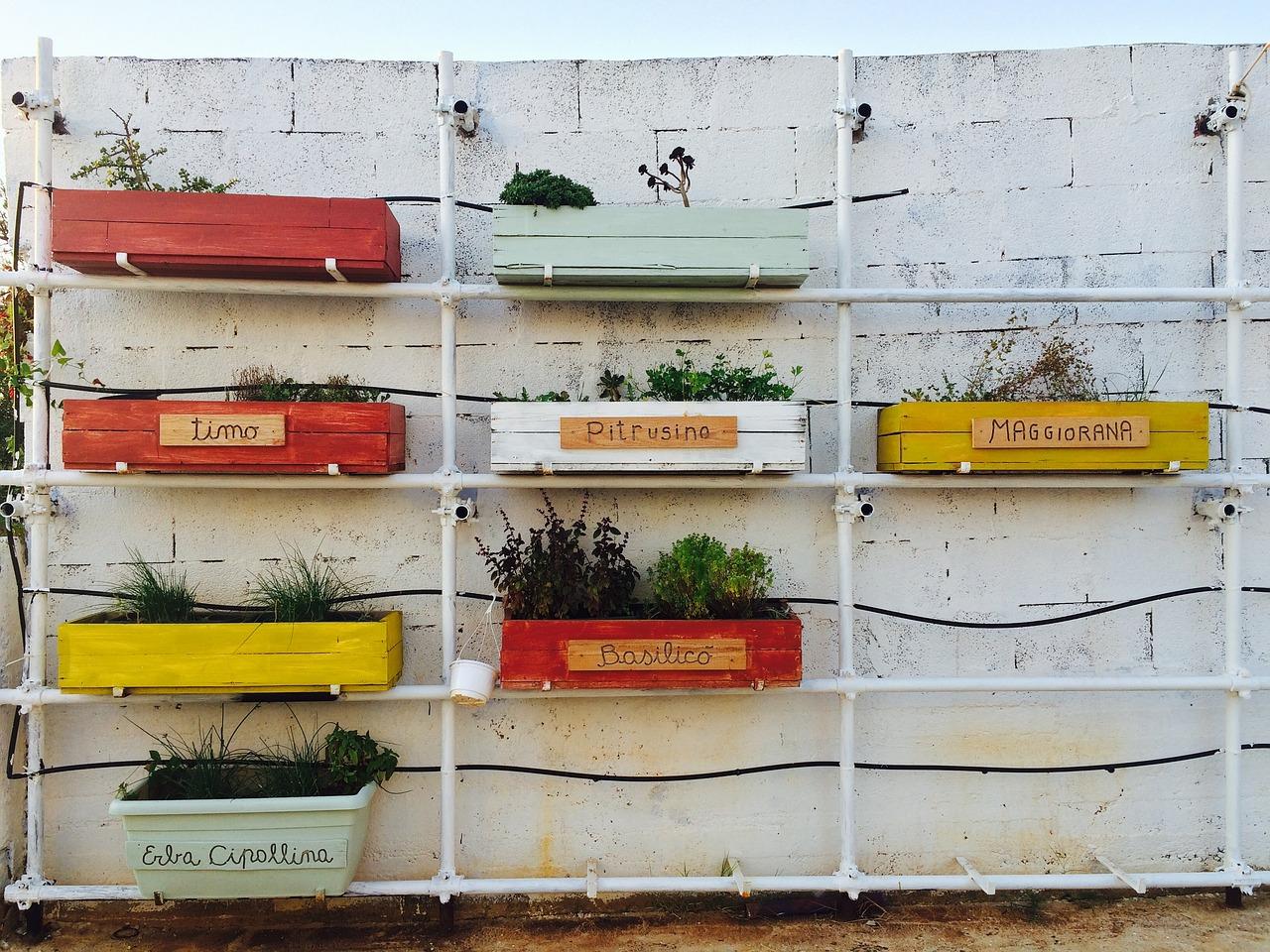 2. 植物空气净化