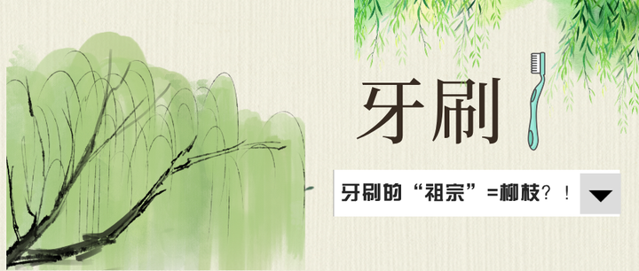 杨柳枝竟是牙刷的“祖宗”! - 知乎