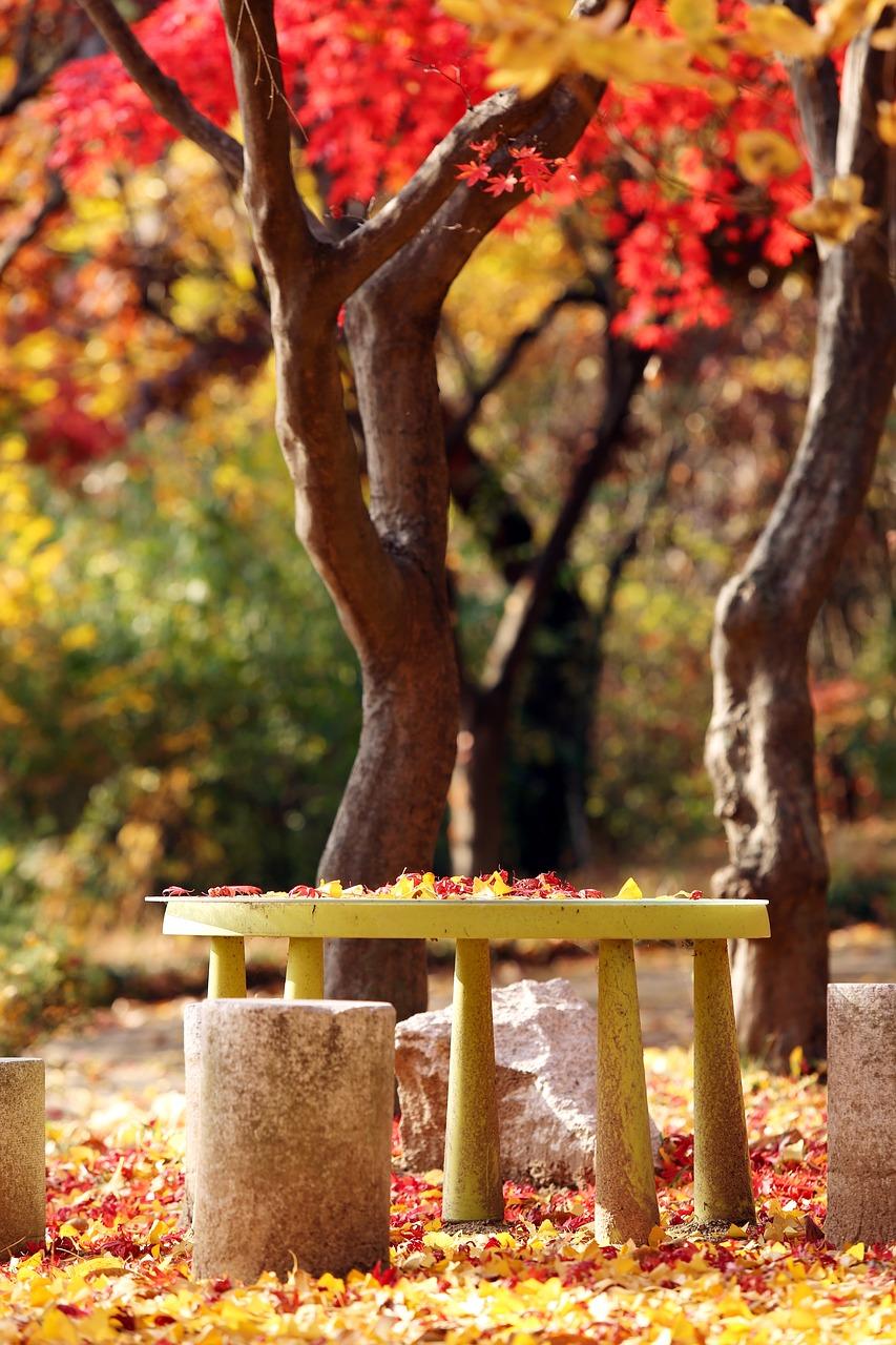 2. 春季花卉种植