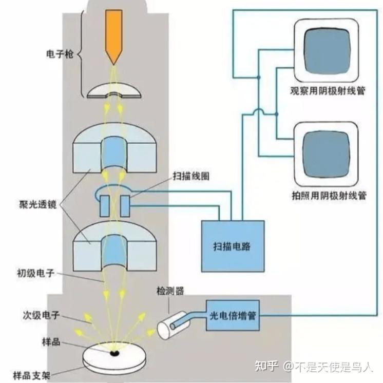 TEM透射电子显微镜 – 全平台 – 解说 – 攻略 - 知乎