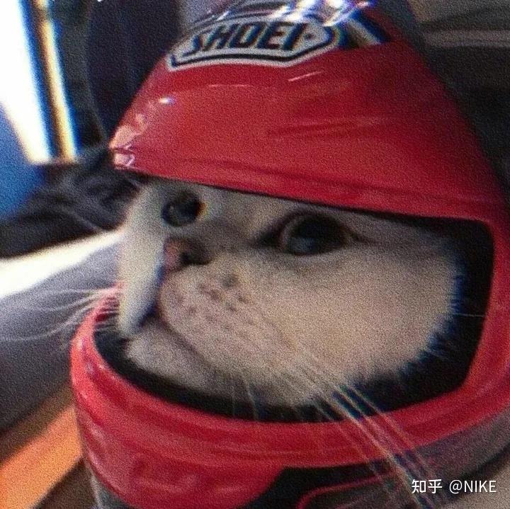 有没有类似的机车猫头像