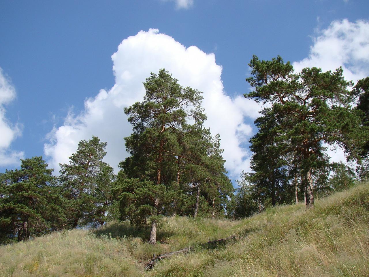 4. 弯沉试验方法