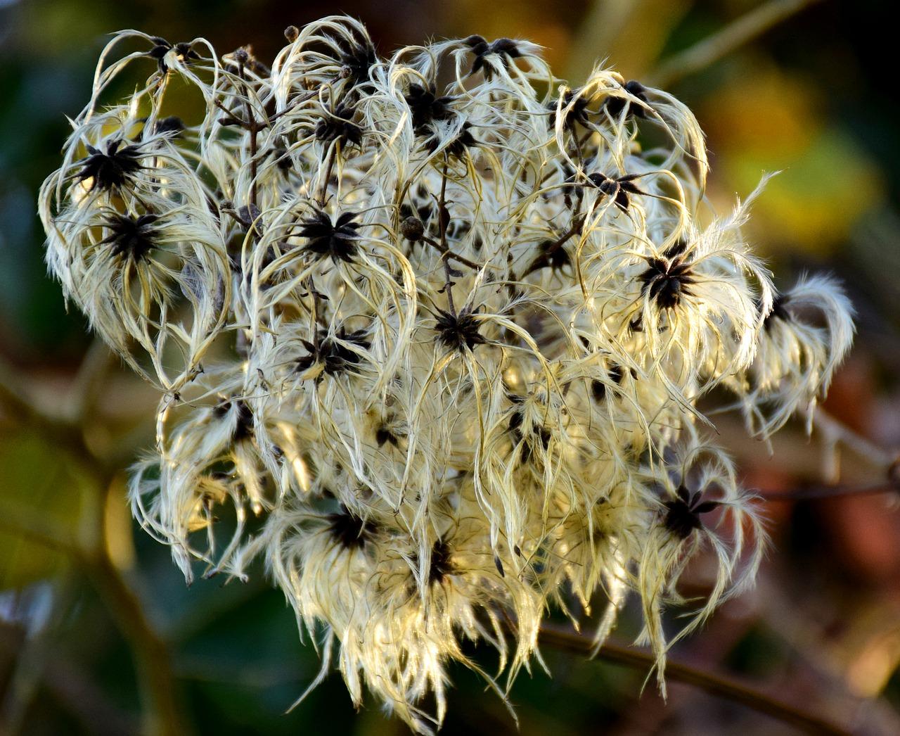 4. 滑石价格走势