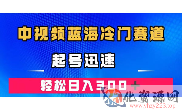 《中视频韩国视频奇闻解说项目》起号迅速，日入300＋_wwz