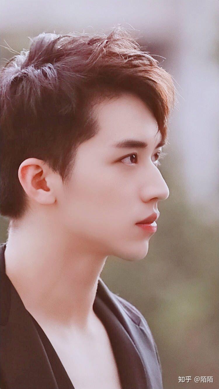 亚洲有哪些鼻子堪称艺术的男明星? - 知乎