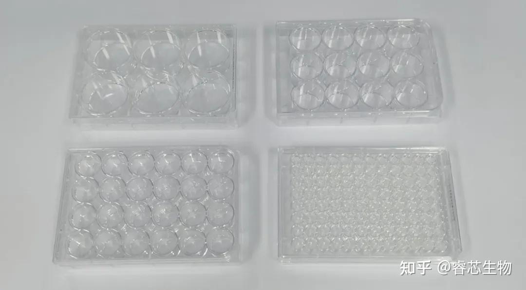 Cell课堂 丨细胞培养容器大揭秘:选对才关键之细胞培养孔板篇 - 知乎