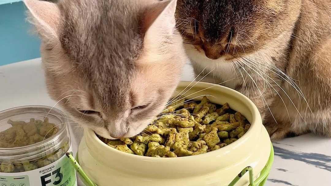 猫薄荷饼干图片