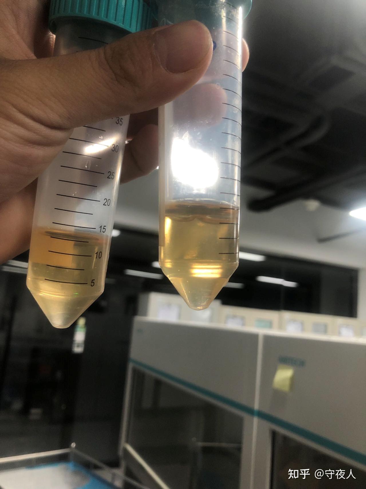 请问农杆菌摇好的标志是什么? - 知乎