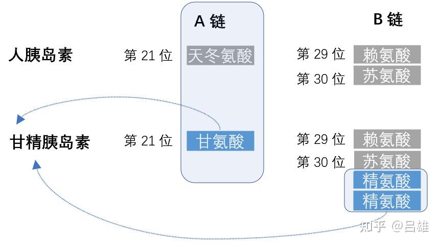 长舒霖用法用量图片