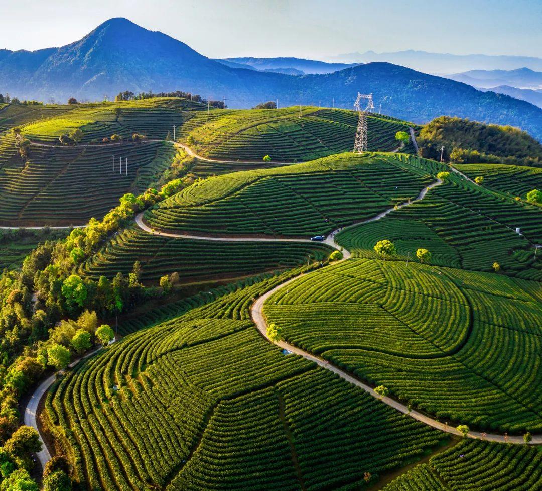 茶的处所 | 静得尘埃外 -- 种茶山坞 烹茶煮茗之所 - 知乎