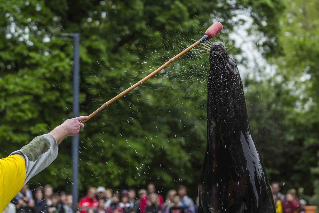 2. 门窗密封处理