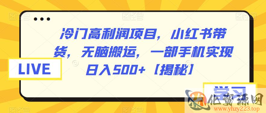 冷门高利润项目，小红书带货，无脑搬运，一部手机实现日入500+【揭秘】