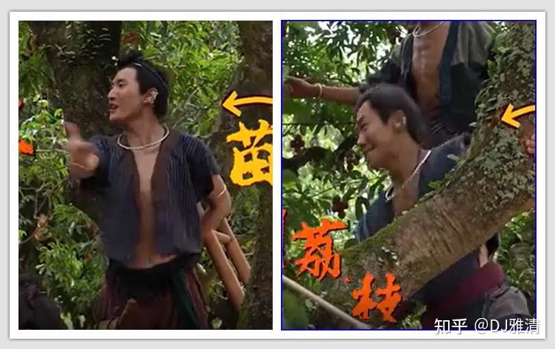 电影《长安的荔枝》演员初印象,白客很搞笑,付航有惊喜,刘德华是亮点 - 知乎