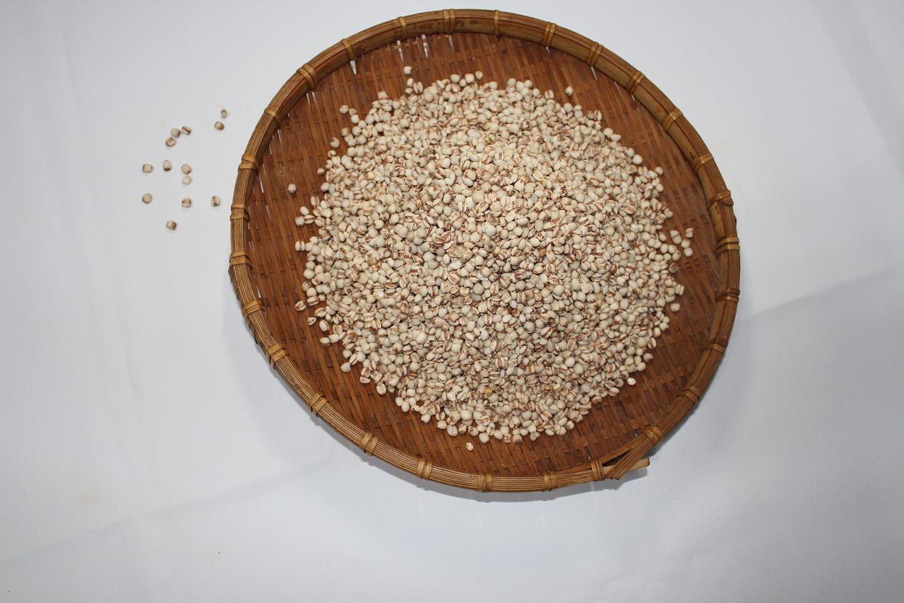 芡实有什么功能