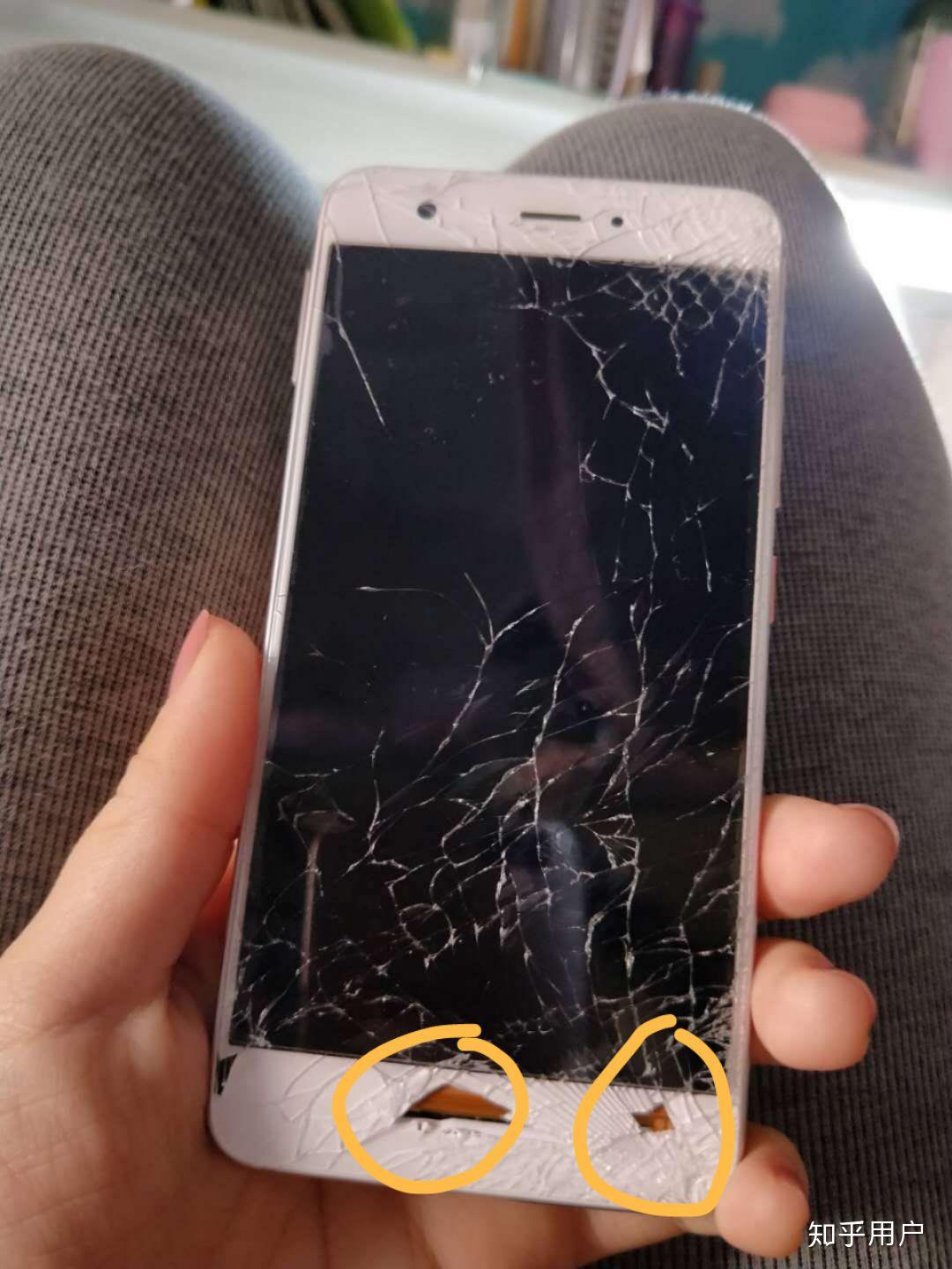 小米8se入五个月掉水里开不了机放一晚上还是不行拿售后说屏幕烧坏了