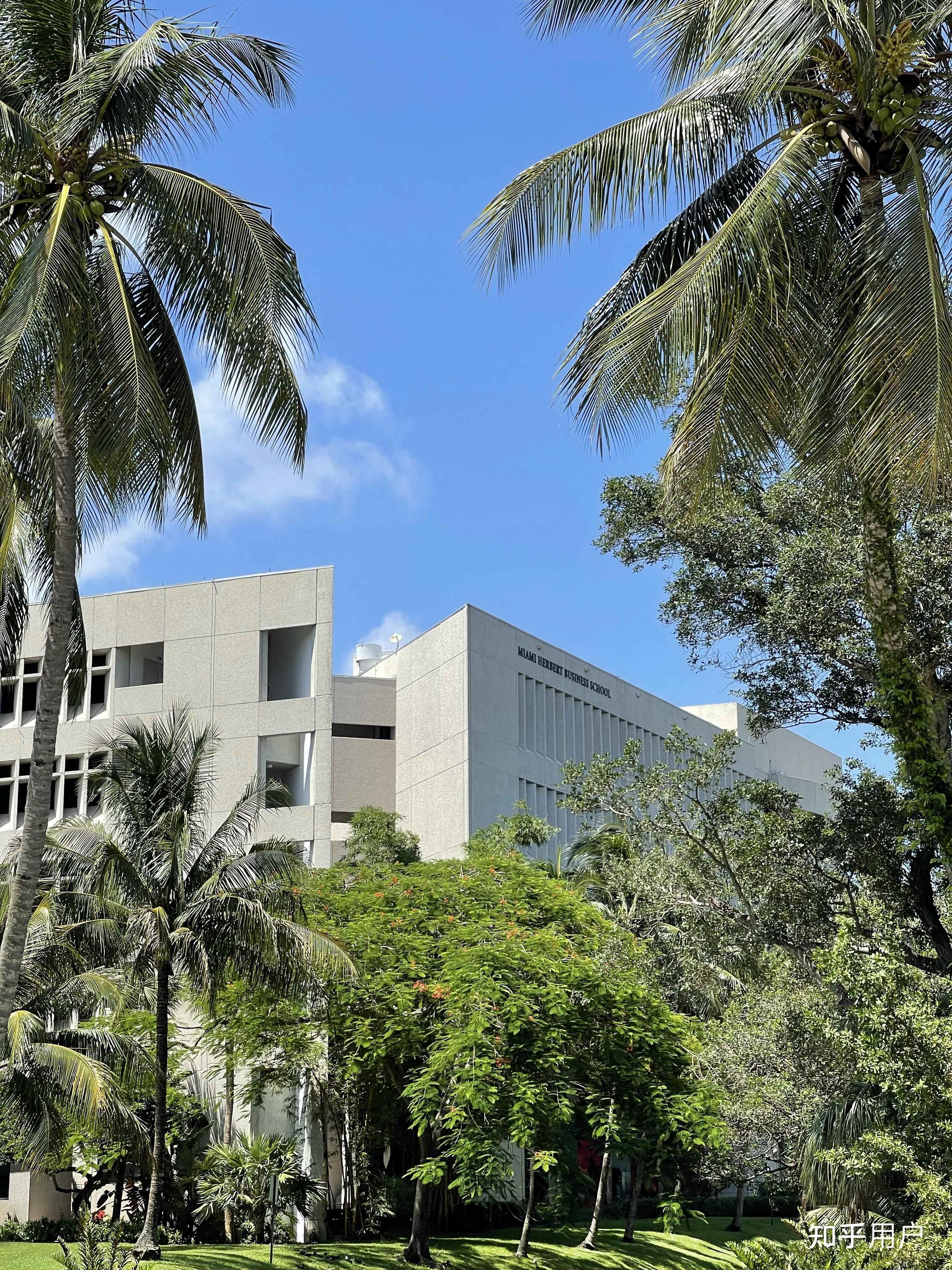 在迈阿密大学(university of miami )就读是怎样的体验? - 知乎