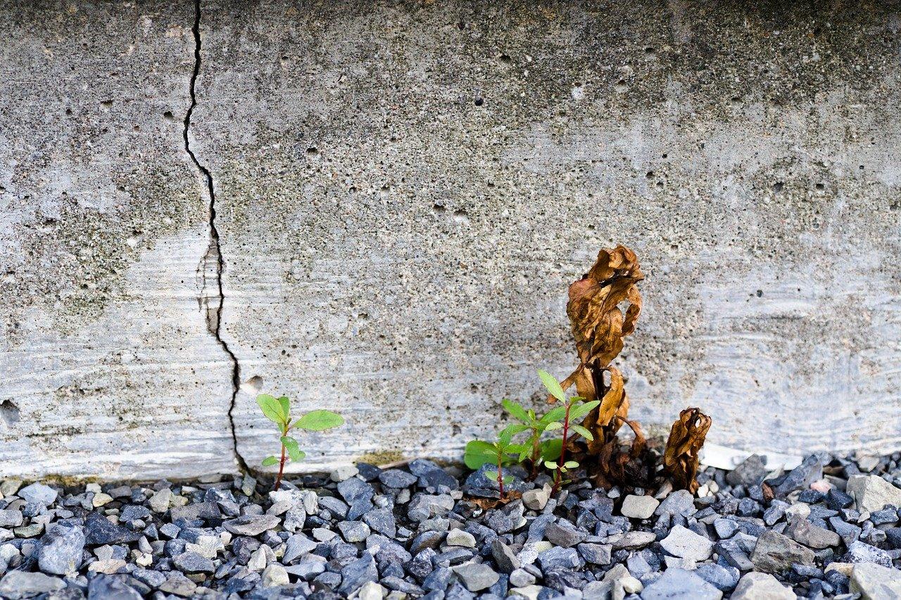 茶壶裂纹如何粘接