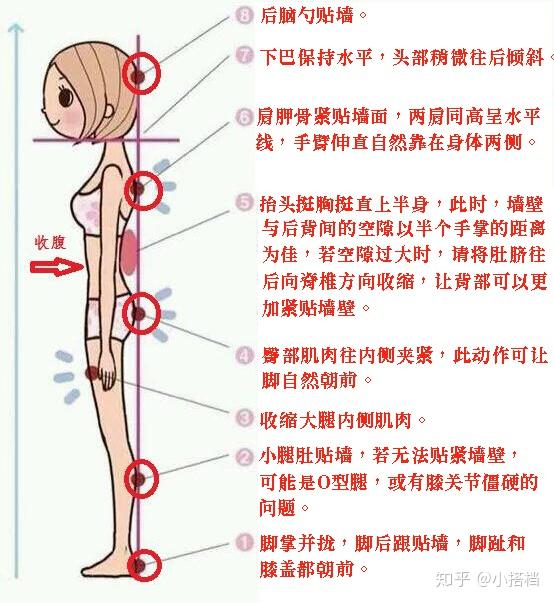 如何正確貼牆站姿勢適宜的時間以及一些要避免的典型錯誤