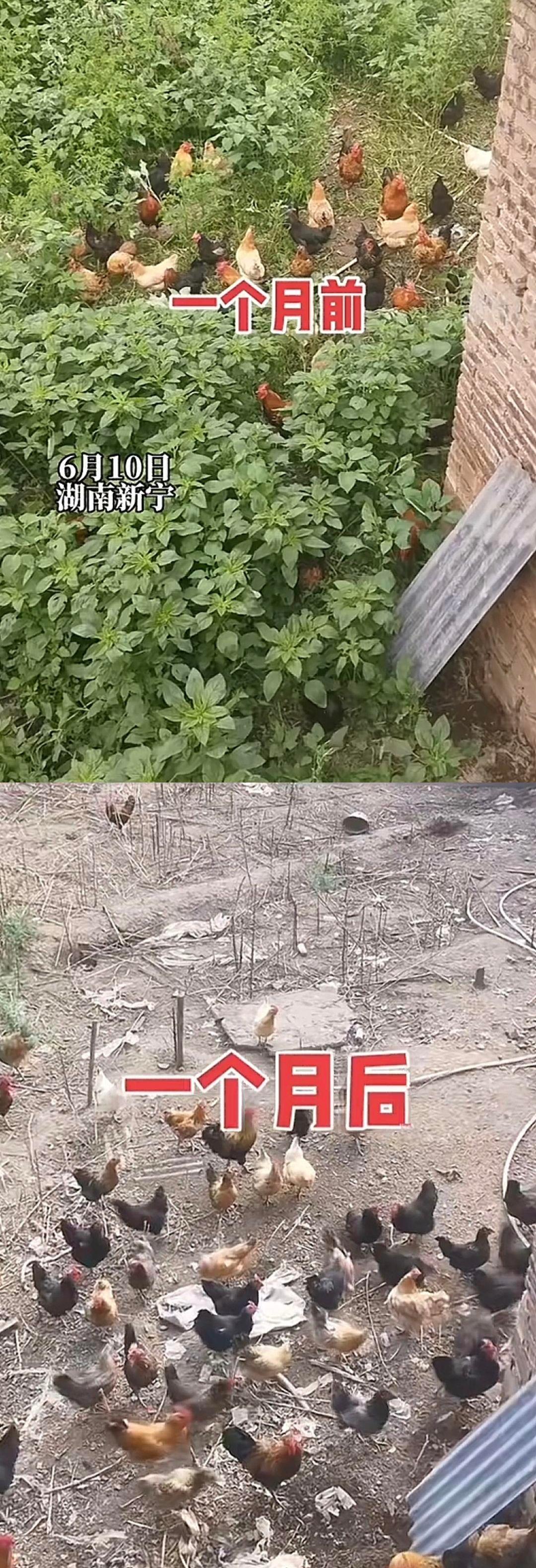 查看图片