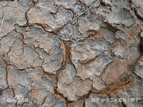 盐碱地是如何形成的? - 知乎