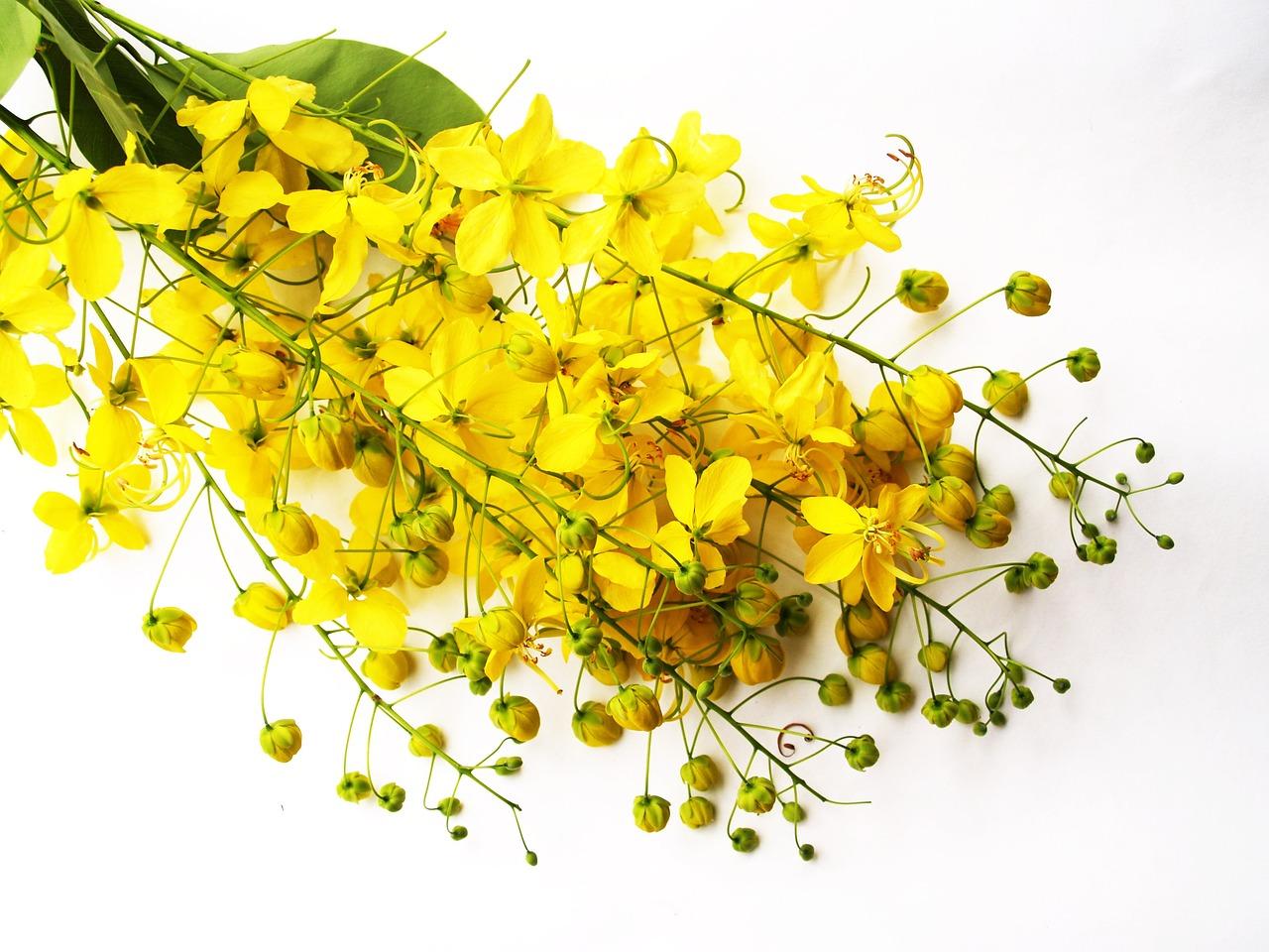 3. 促进血液循环