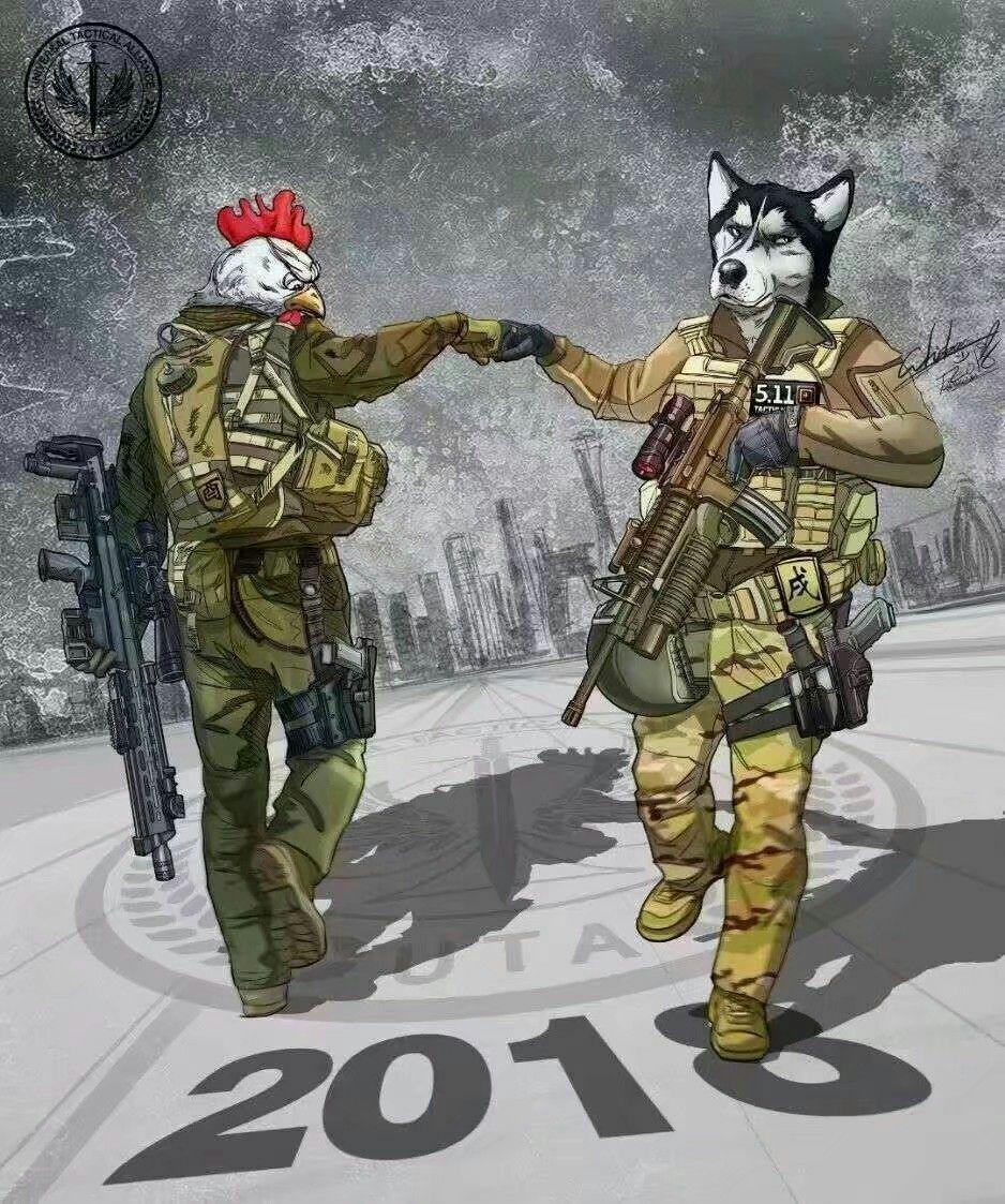 最好是鸡年到狗年的,如果有十二生肖全部交替图最好? - 知乎