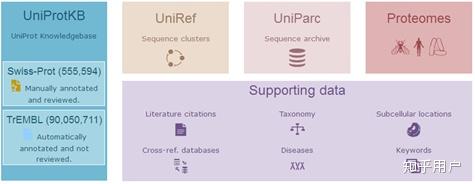 Uniprokb 哪些网站可以查找到蛋白质的氨基酸序列? - 知乎