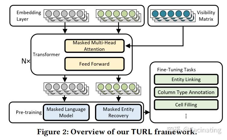 Turu Module Table Pre-training(四)TURL(下) - 知乎