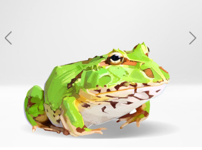 角蛙品种之一绿角蛙