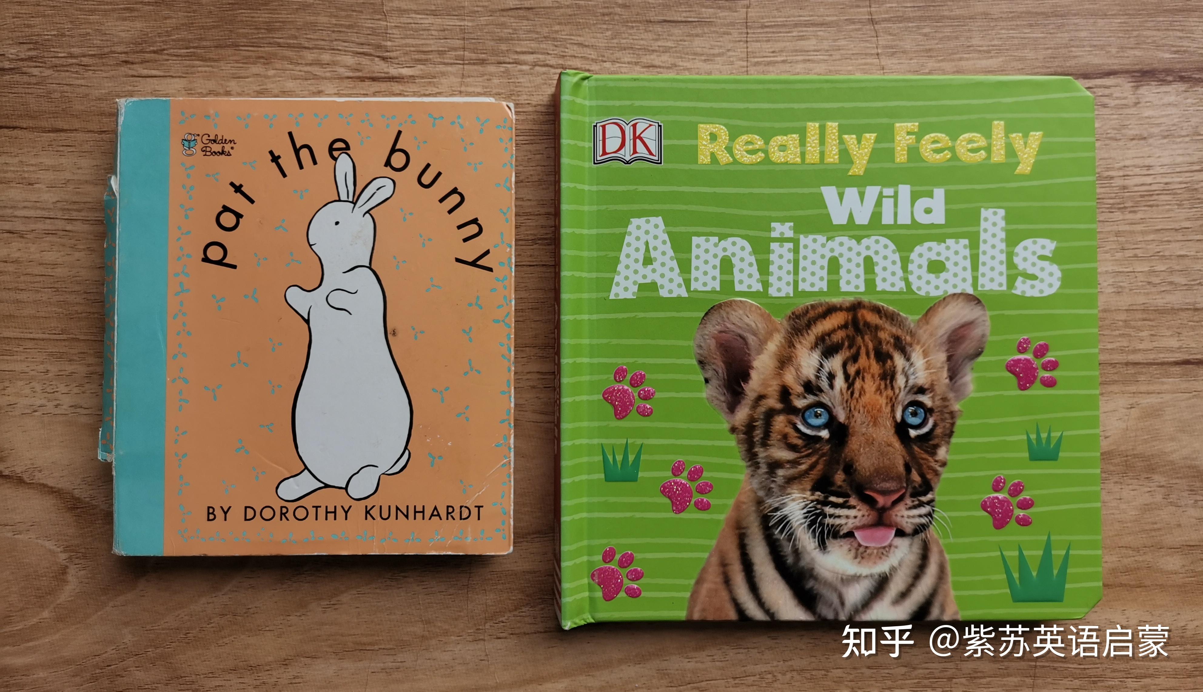 有哪些适合1到3岁小朋友启蒙英语的绘本吗