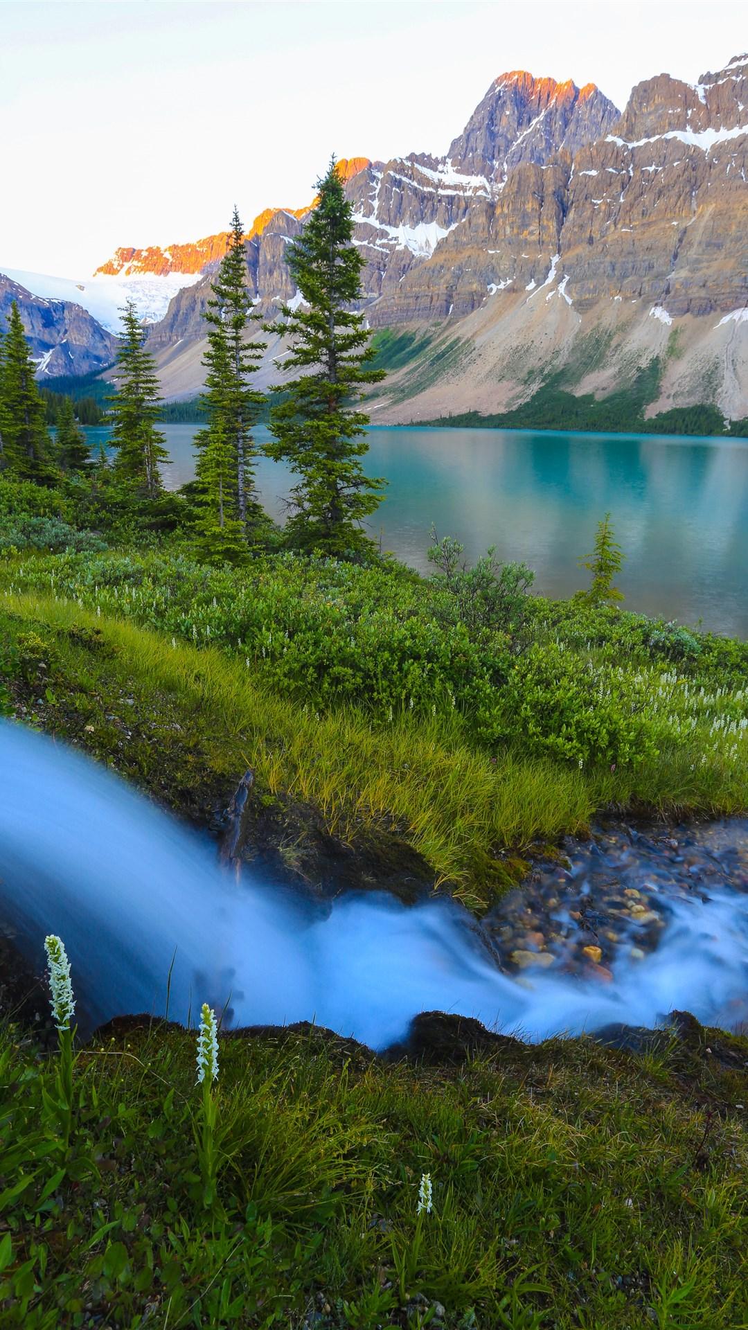 有哪些清凉如水的画作?