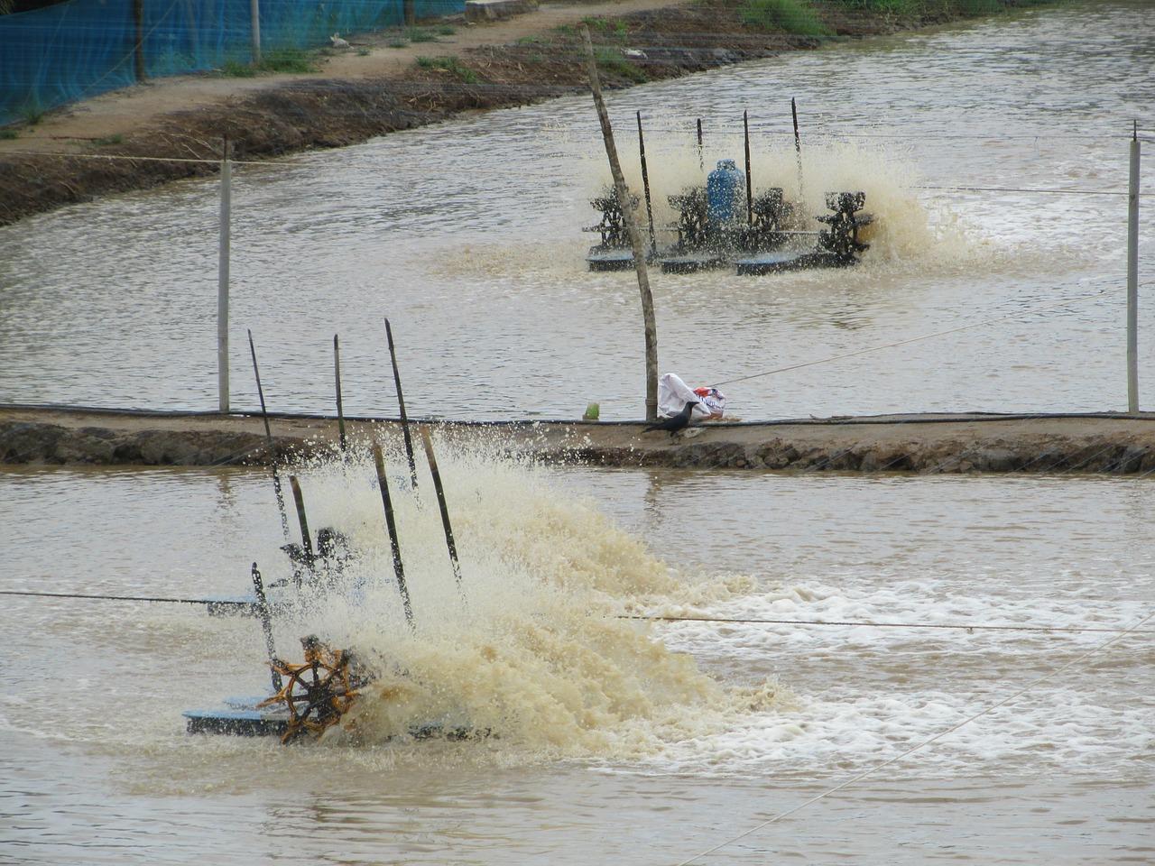 如何判断盆缺水