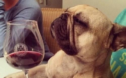 年末岁首佳节聚会如何做到面面俱到看看这个就懂了