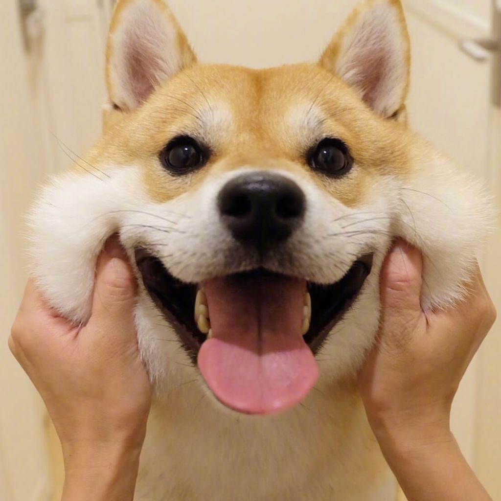 有没有什么惊艳的微信头像?-特别惊艳到人的微信头像