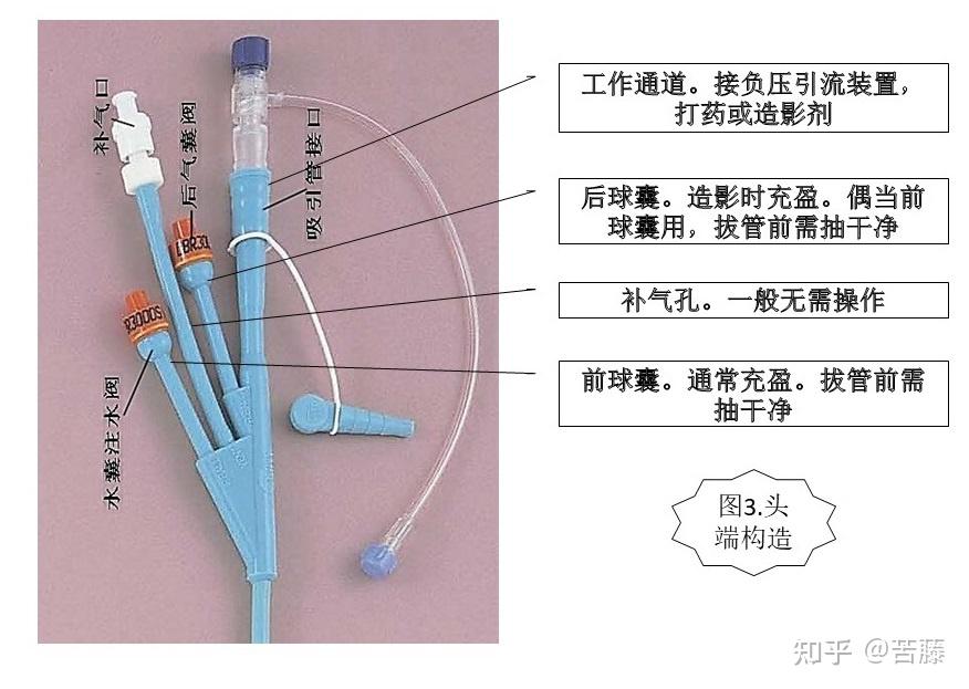 经鼻肠梗阻导管图片