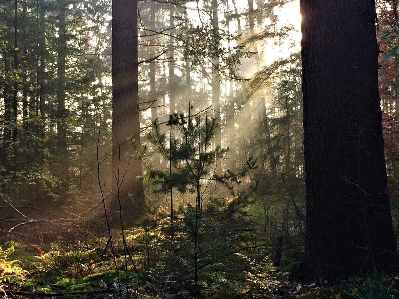 社区配套设施详述