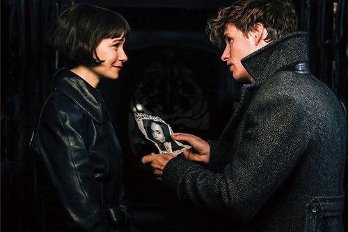 hp电影解析映前剧透纽特与蒂娜之间的故事